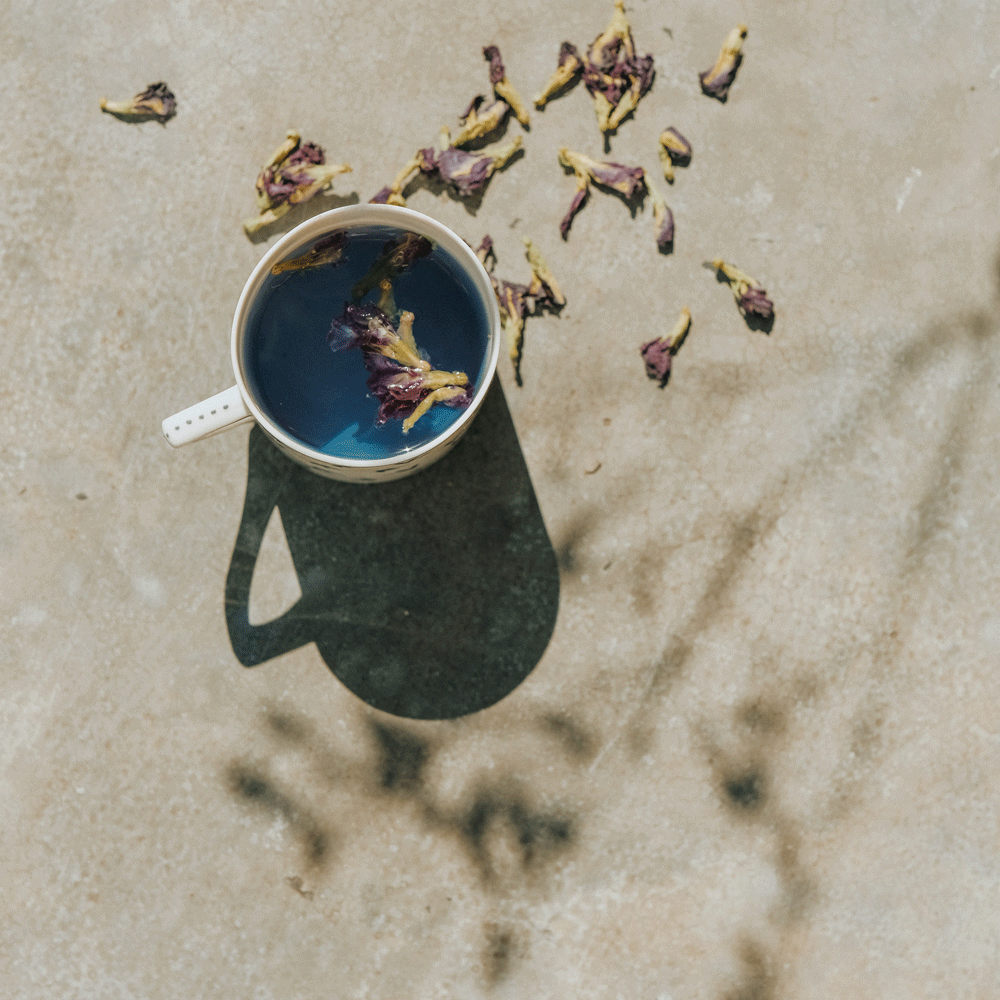 Blue Pea Butterfly Tea (15g) - Image 2