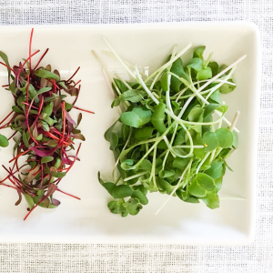 *Organic Microgreens - Mixed Leaf