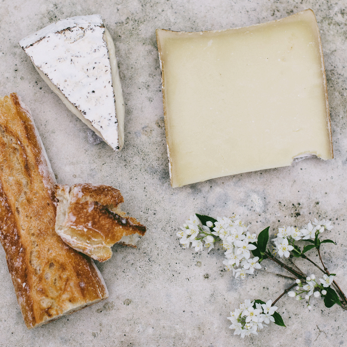 Soft Cheeses